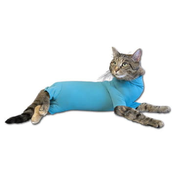 Cat Body