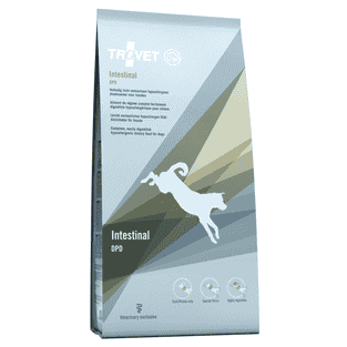 Intestinal DPD Chien
