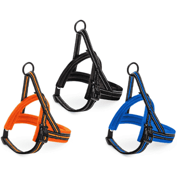 Nordic Sport M harness