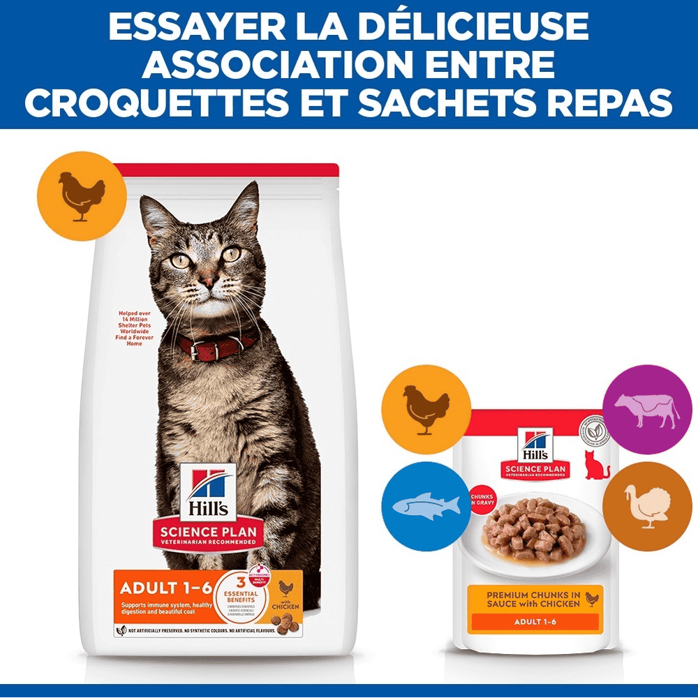 Feline Adult Chicken - Sachets
