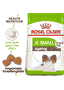 X-Small Ageing 12+