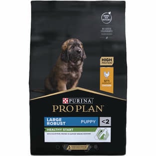 LARGE ROBUST PUPPY Healthy Start
