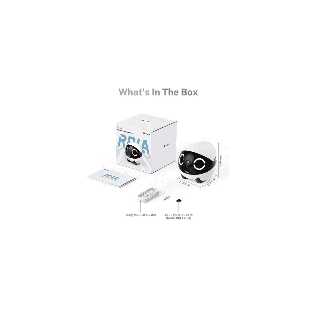 ROLA Mini Companion Robot