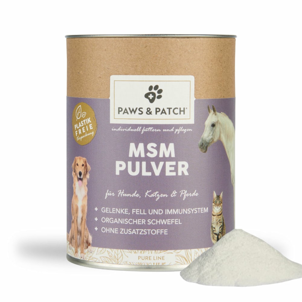MSM Pulver
