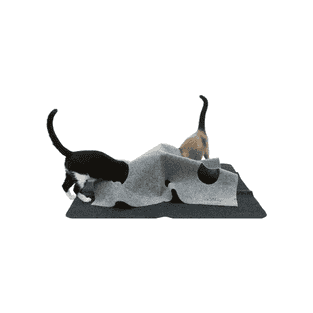 Cat Activity Adventure Carpet