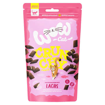 Crunchy Snack mit Lachs