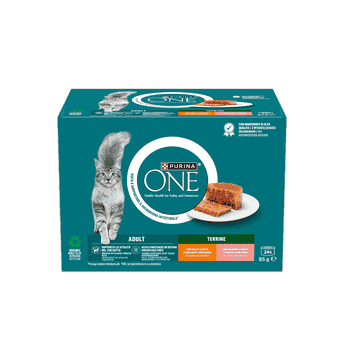 Terrine Adult Poulet & Carottes / Saumon & Carottes