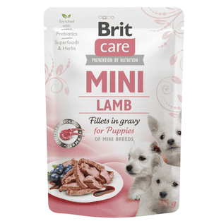 Care Mini Lamb for puppies