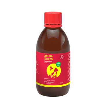 Anima Strath liquid