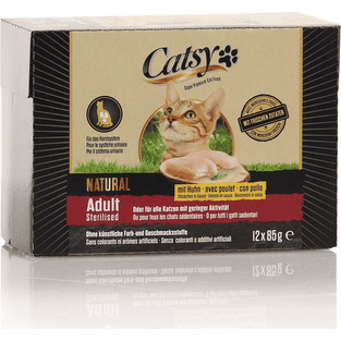Adult Sterilised Cat
