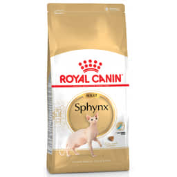 Sphynx