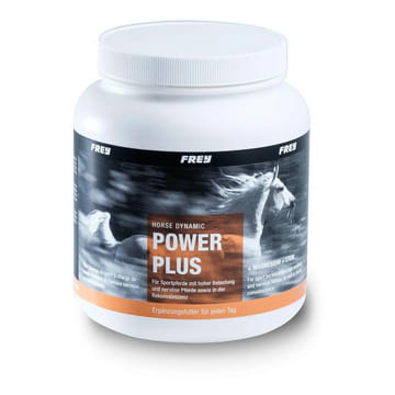 Horse Dynamic POWER PLUS + Magnesium + Lysine