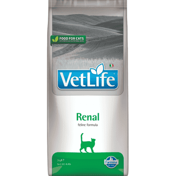 Feline Renal