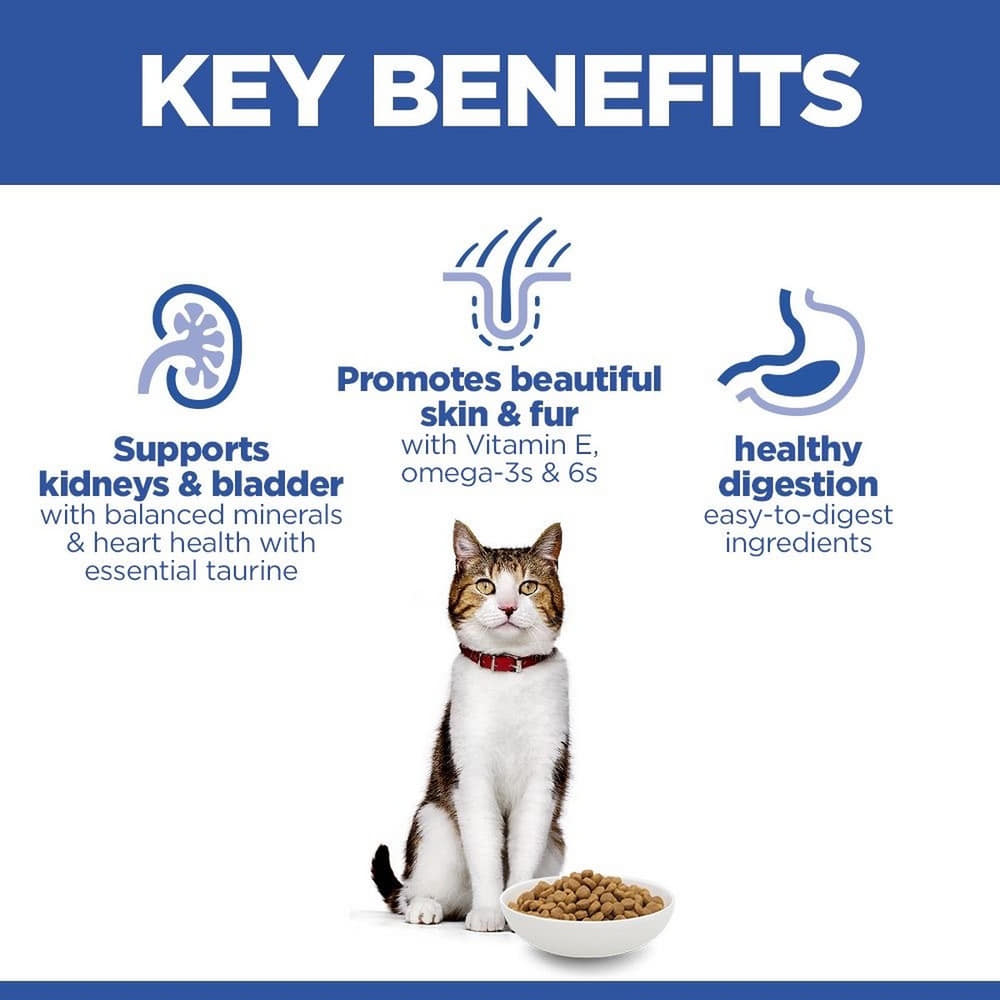 Feline Mature Adult 7+ Salmon