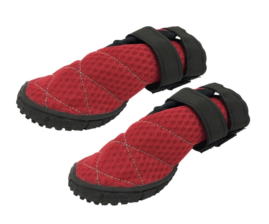Pfotenschutzschuhe Sun