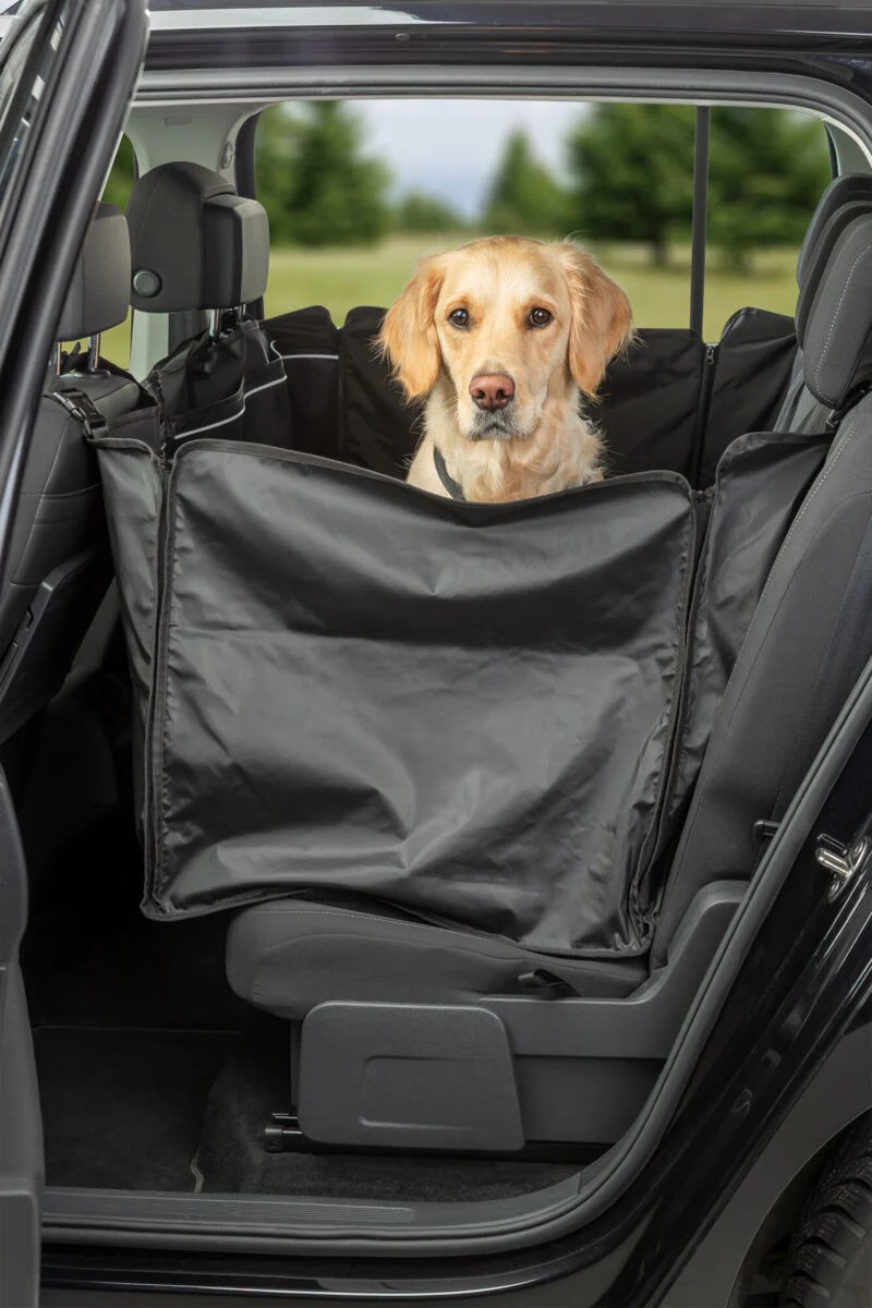 Car blanket