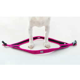 Hundegeschirr Fast-Fit pink