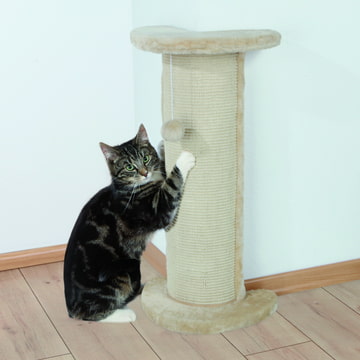 Lorca scratching post