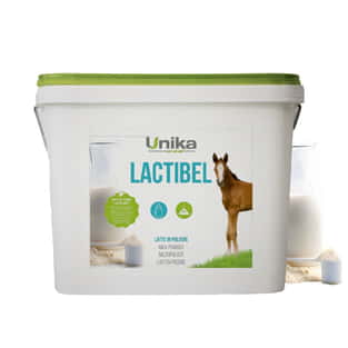 Lactibel