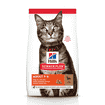 Feline Adult with Lamb