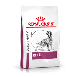Renal Dog