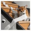 Caméra pour animaux domestiques