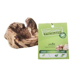 Kauwurzel