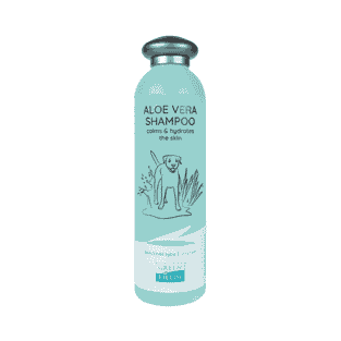 Aloe Vera Shampoo calms the skin
