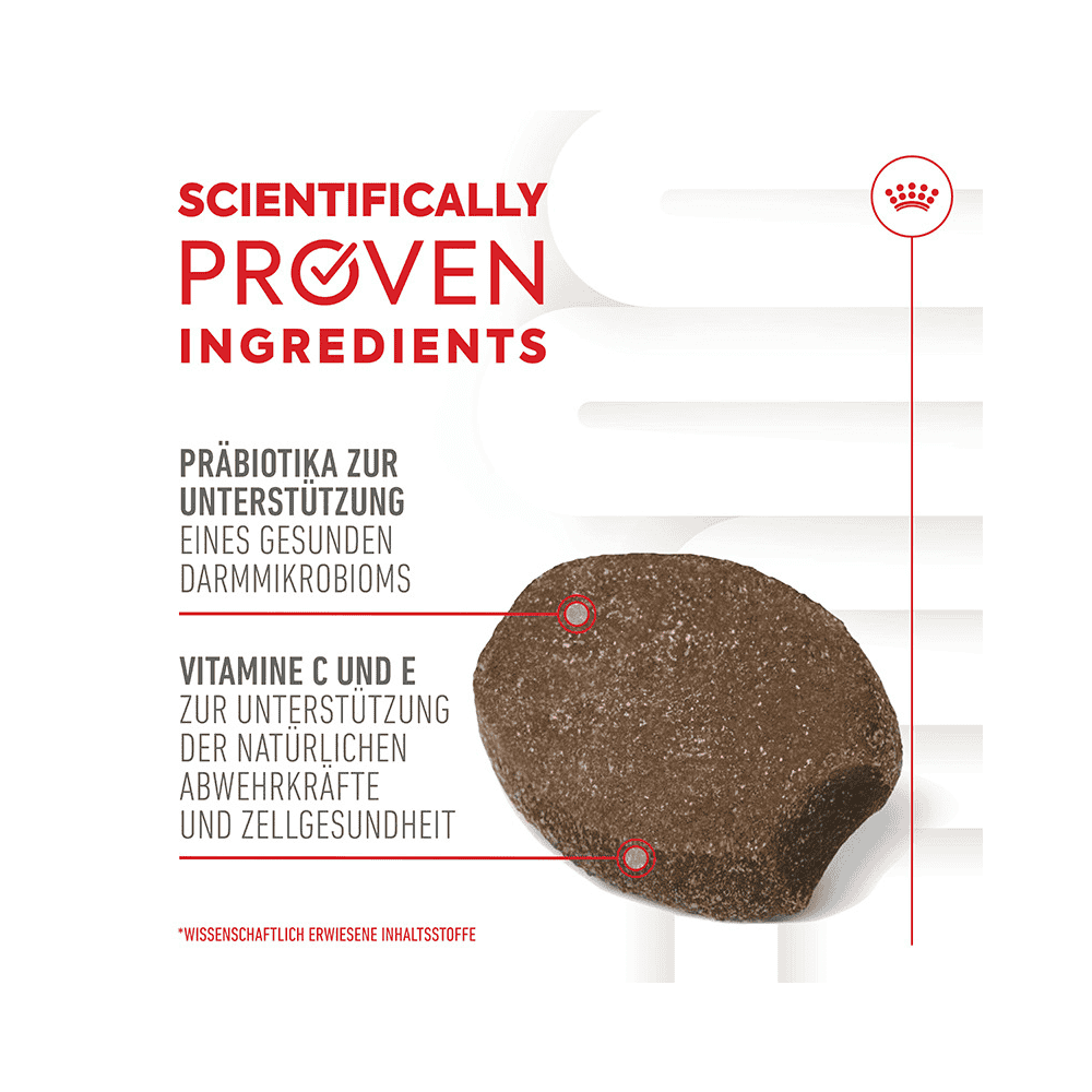 Immunity &amp; Digestion Chews Puppy Supplements