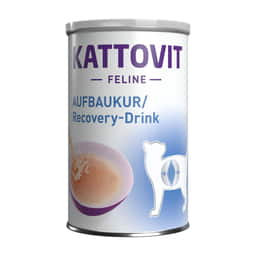 Aufbaukur/Recovery-Drink