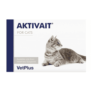 AKTIVAIT