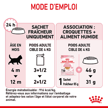 Kitten en gelée - sachet