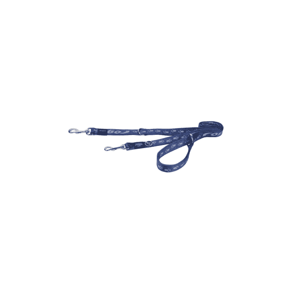 Hundeleine Alpinist blau