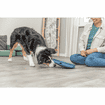Dog Activity Rocking Maze