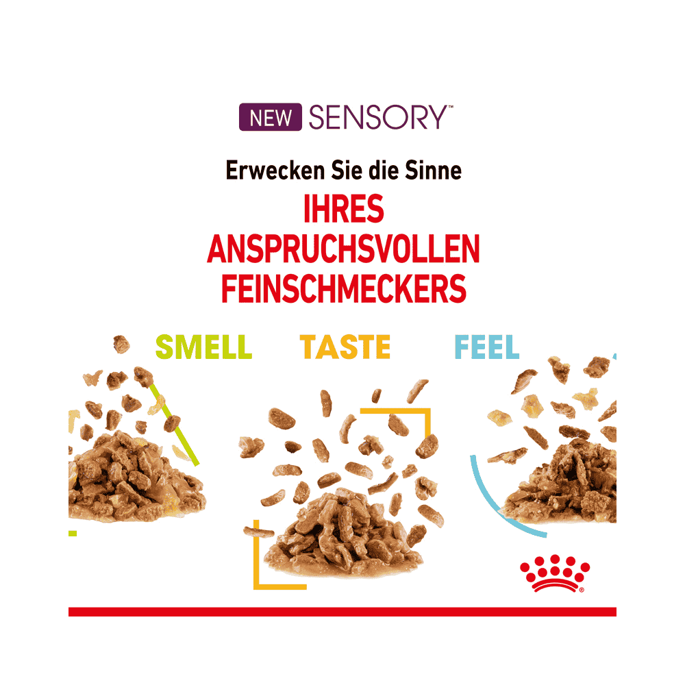 SENSORY SMELL, TASTE, FEEL in sauce, fresh pouches