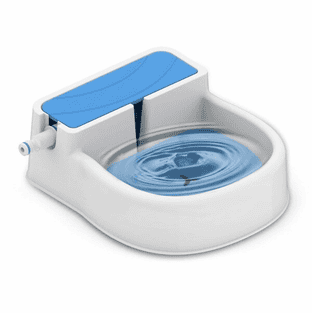 Chill Out Garden Auto Filling Trinkbrunnen