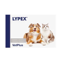 Lypex