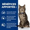 Feline Metabolic Weight & Diabetes Management Salmon