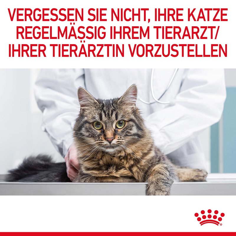 Digestive Care