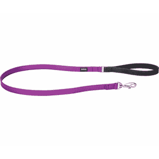 Elegant Purple leashes
