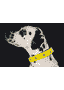 Collier lumineux LED jaune