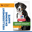 Canine Senior Vitality 6+ Large Breed