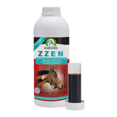Zzen
