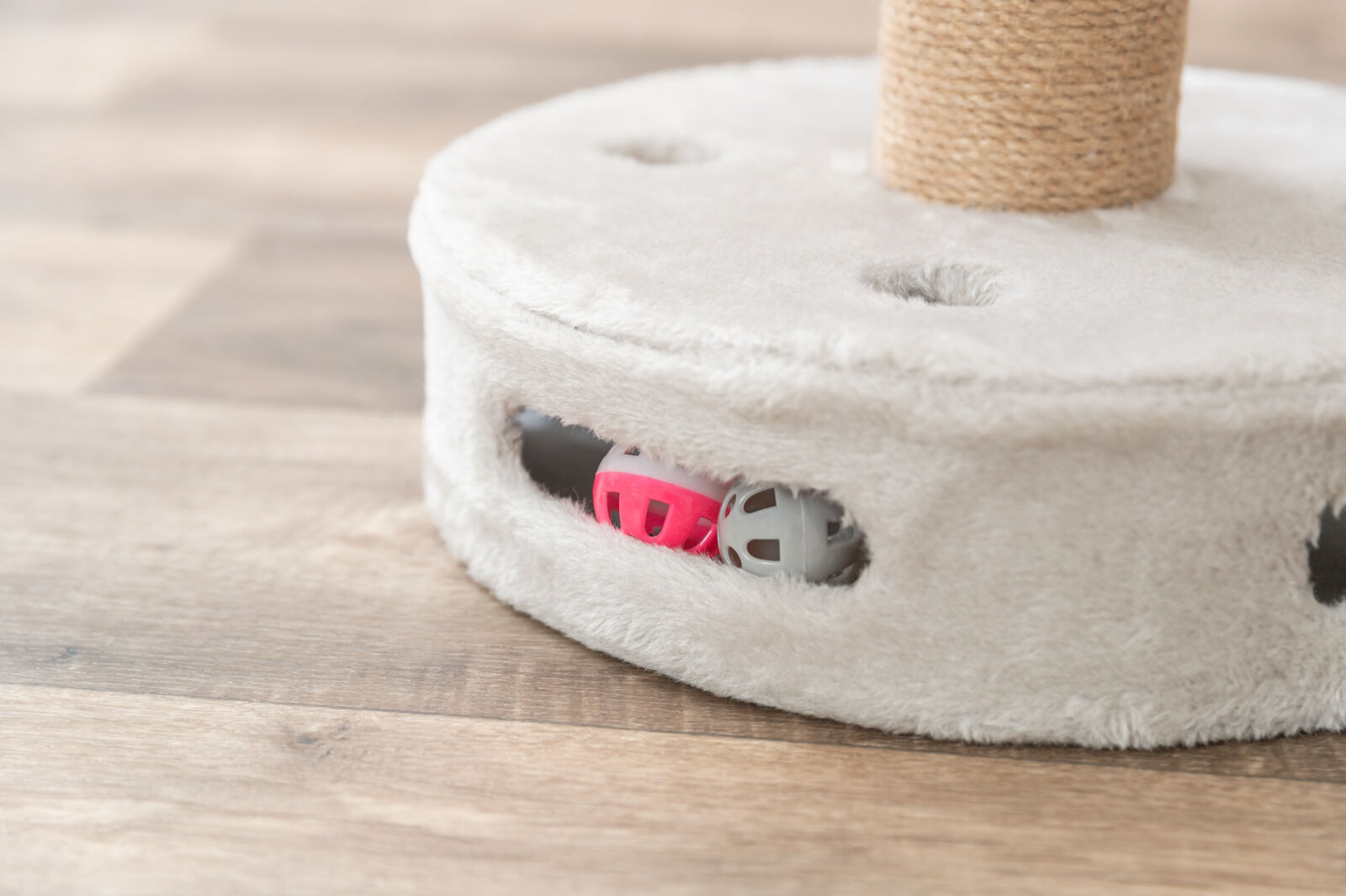 Dalia cat scratcher
