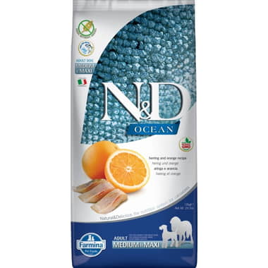 Canine Adult Med/Max Hareng Orange