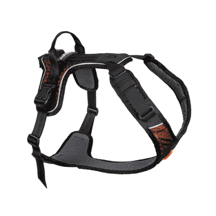 Rock Harness Black