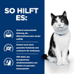 Feline i/d Digestive Care - Boîte