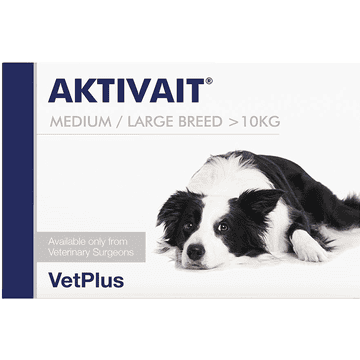 AKTIVAIT