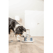 Dog Activity Gambling Tower