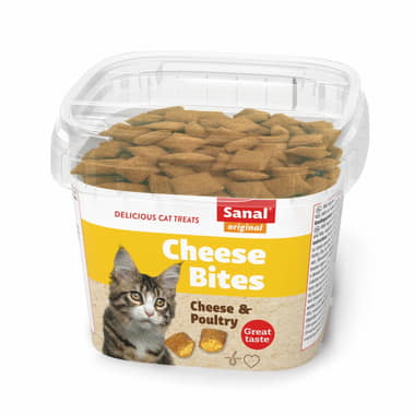 Cheese Bites in cup